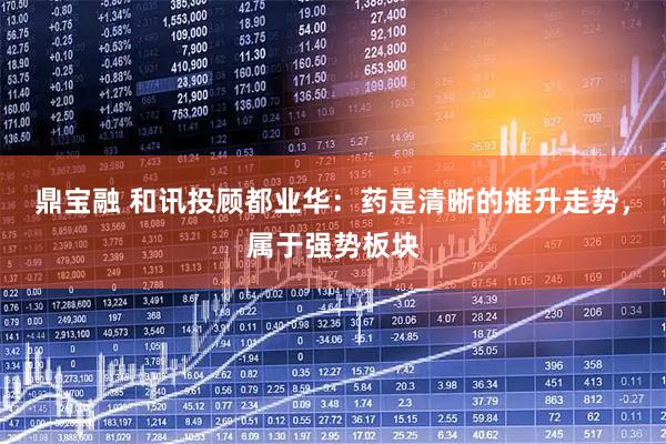鼎宝融 和讯投顾都业华：药是清晰的推升走势，属于强势板块